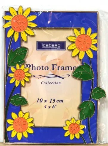 Фоторамка JPF-N10, металл, голубой (Подсолнух) обложка книги