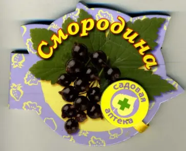 Смородина обложка книги
