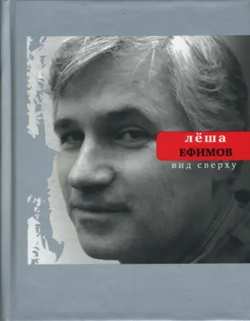 Алексей Ефимов - Вид сверху обложка книги