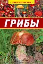 Аристамбекова Наталья