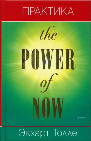 Экхарт Толле - Практика "Power of now" Экхарт Толле - Практика "Power of now" обложка книги