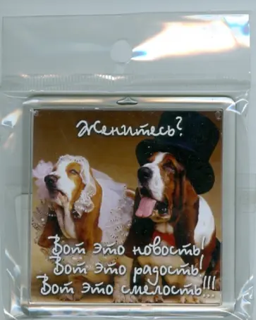 Магнитные подарочки. Женитесь? Вот это новость! Вот это радость! Вот это смелость!!! обложка книги