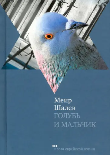 Меир Шалев - Голубь и Мальчик обложка книги