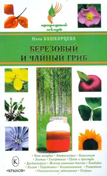 Нина Башкирцева - Березовый и чайный гриб Нина Башкирцева - Березовый и чайный гриб обложка книги