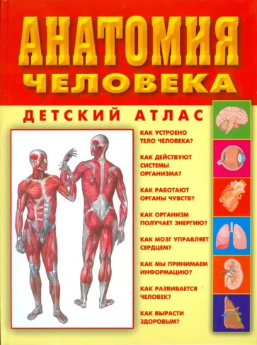 Александр Мирер - Анатомия человека обложка книги