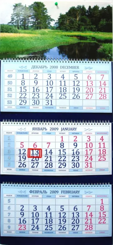 Календарь 2009 3-х секционный. Русский лес Календарь 2009 3-х секционный. Русский лес обложка книги