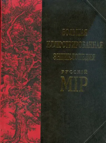 Владимир Бутромеев - Большая иллюстрированная энциклопедия Русскiй мiр. Том 13 обложка книги