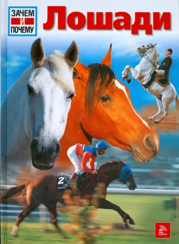 Керстин Нойман - Лошади обложка книги