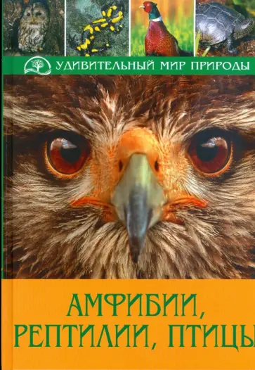 Клаус, Пухта - Амфибии, рептилии, птицы Клаус, Пухта - Амфибии, рептилии, птицы обложка книги