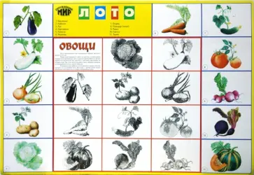 Лото: Овощи 774 (350х500) обложка книги