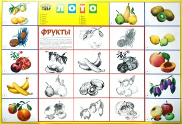 Лото: Фрукты 774 (350х500) обложка книги