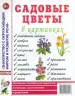 Миниатюра 1