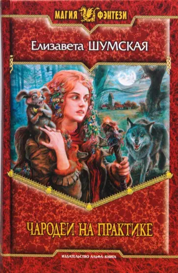 Елизавета Шумская - Чародеи на практике Елизавета Шумская - Чародеи на практике обложка книги