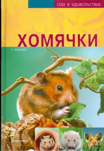 Георг Гасснер - Хомячки Георг Гасснер - Хомячки обложка книги