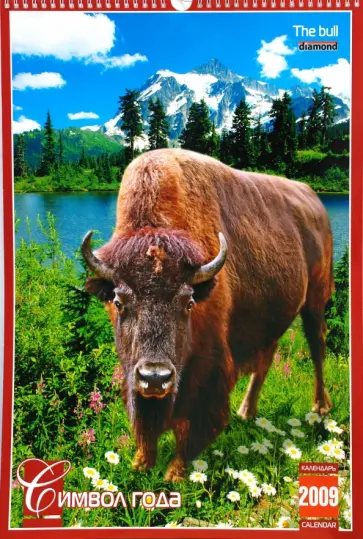 Календарь 2009 БР330х480 Символ года (КРЗ-09023) обложка книги