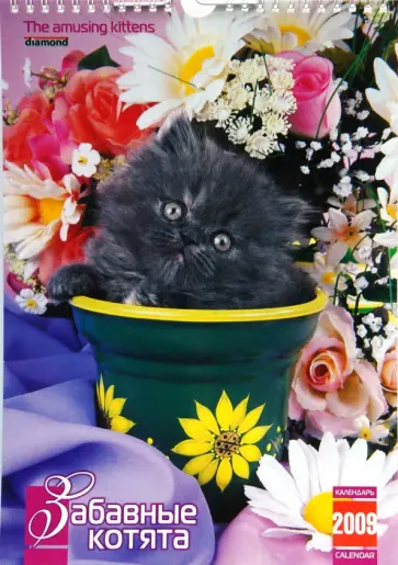 Календарь 2009 (КР4-09001) Забавные котята (мал.) обложка книги