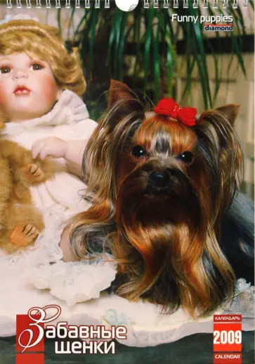 Календарь 2009 КР4-09017 Забавные щенки (мал.) обложка книги