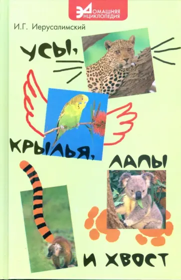 Иван Иерусалимский - Усы, крылья, лапы и хвост Иван Иерусалимский - Усы, крылья, лапы и хвост обложка книги