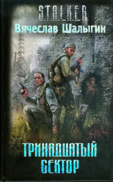 Вячеслав Шалыгин - Тринадцатый сектор обложка книги
