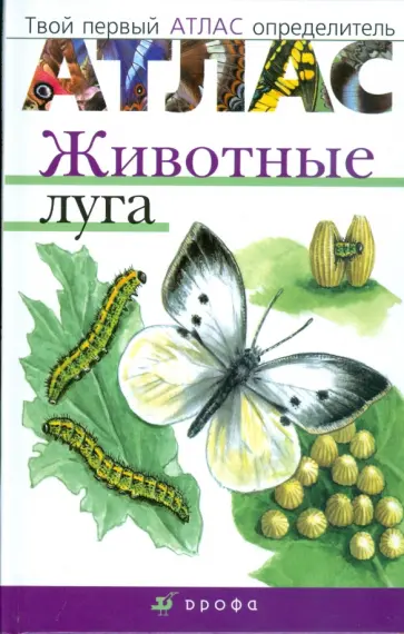 Бровкина, Сивоглазов - Атлас: Животные луга (3906) обложка книги
