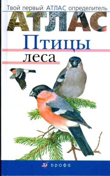 Бровкина, Сивоглазов - Птицы леса обложка книги