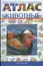 Сивоглазов Вячеслав