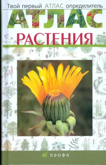 Козлова, Сивоглазов - Твой первый атлас-определитель. Растения обложка книги
