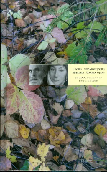 Холмогорова, Холмогоров - Второстепенная суть вещей обложка книги