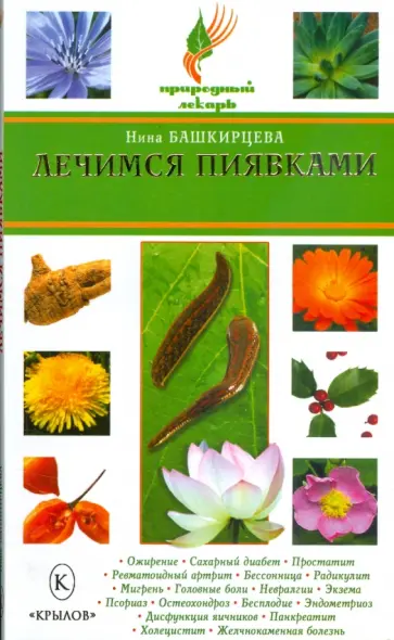 Нина Башкирцева - Лечимся пиявками Нина Башкирцева - Лечимся пиявками обложка книги