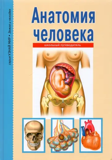 Сергей Афонькин - Анатомия человека обложка книги