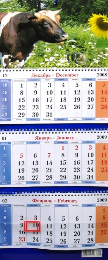 Календарь 2009 Бык с котенком (8) обложка книги