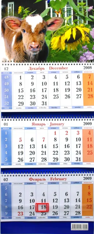 Календарь 2009 Бык. Дом (7) обложка книги