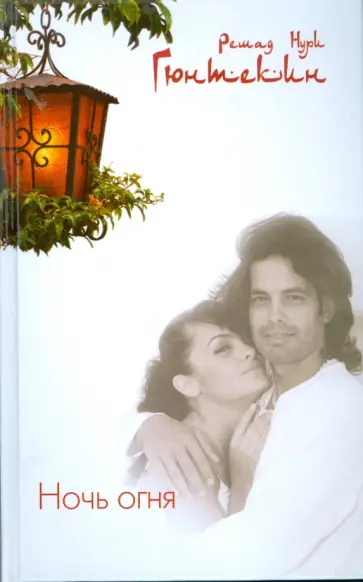 Решад Гюнтекин - Ночь огня Решад Гюнтекин - Ночь огня обложка книги