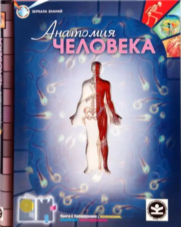 Ник Грехам - Анатомия человека обложка книги