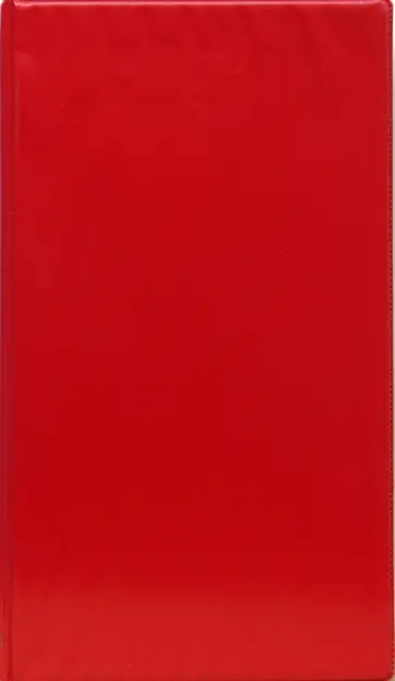 Визитница на 80 карточек на кольцах, бордо (L-29-302) обложка книги