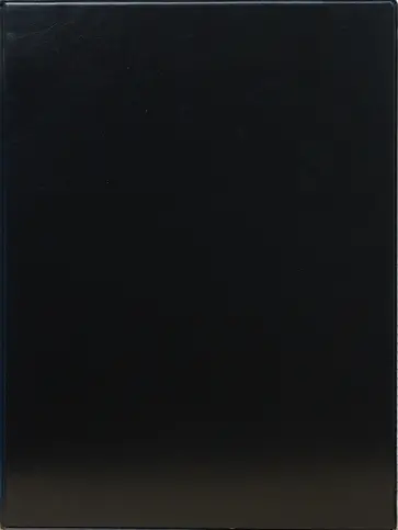 Тетрадь А4 (L-35-103) 2 сменных блока 4 кольца (черная) обложка книги