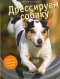 Вегманн Ангела