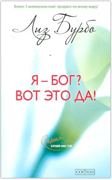 Лиз Бурбо - Я - Бог? Вот это да! Путь к Любви Лиз Бурбо - Я - Бог? Вот это да! Путь к Любви обложка книги
