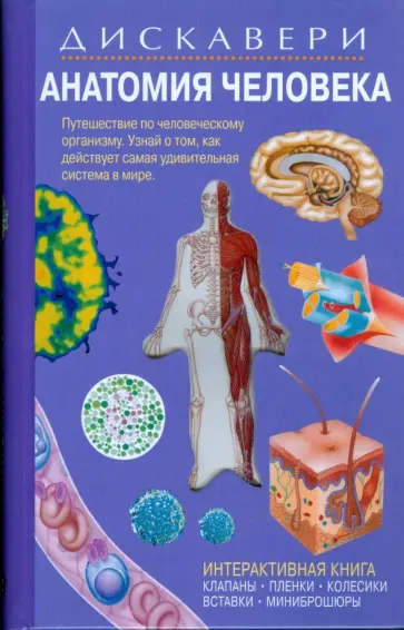 Грехам, Уолкер - Дискавери: Анатомия человека Грехам, Уолкер - Дискавери: Анатомия человека обложка книги