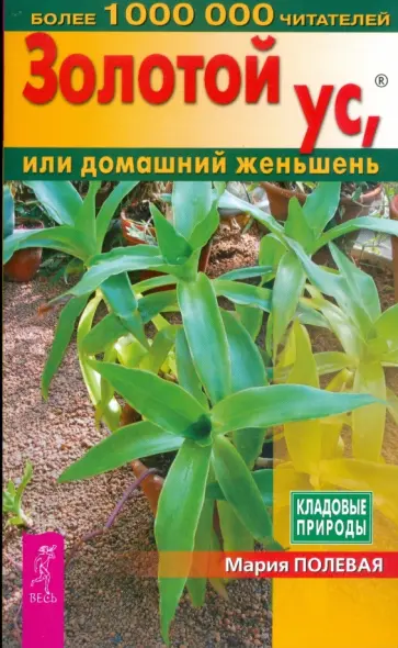 Мария Полевая - Золотой ус - ваша домашняя аптека обложка книги