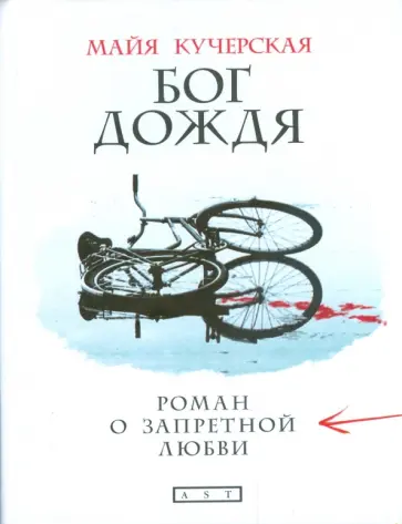 Майя Кучерская - Бог дождя. Роман о запретной любви обложка книги