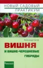 Сычов Александр
