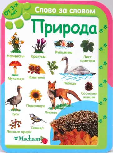 Природа (от 3-х лет) обложка книги