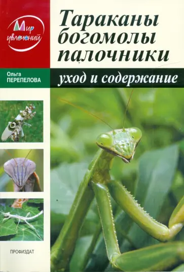 Ольга Перепелова - Тараканы, богомолы, палочники. Уход и содержание Ольга Перепелова - Тараканы, богомолы, палочники. Уход и содержание обложка книги