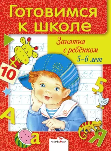 Готовимся к школе. Занятия с детьми 5-6 лет Готовимся к школе. Занятия с детьми 5-6 лет обложка книги