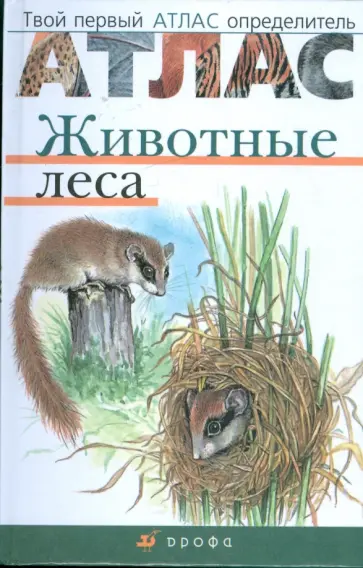Бровкина, Сивоглазов - Атлас. Животные леса (3582) обложка книги