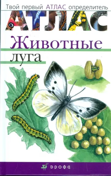Евгения Бровкина - Атлас: Животные луга (3906) обложка книги