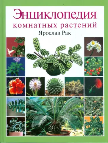 Ярослав Рак - Энциклопедия комнатных растений обложка книги
