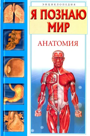 Алексей Пахневич - Я познаю мир. Анатомия Алексей Пахневич - Я познаю мир. Анатомия обложка книги