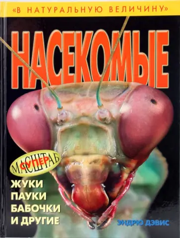 Эндрю Дэвис - Насекомые: жуки, пауки, бабочки и другие обложка книги